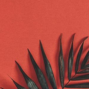 Meet your Posher, Kaylee